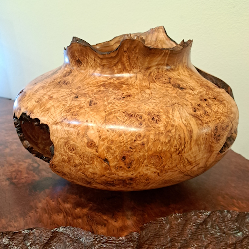 JW-269 Colorado Aspen Burl Hollow Woodturning  $2000 at Hunter Wolff Gallery